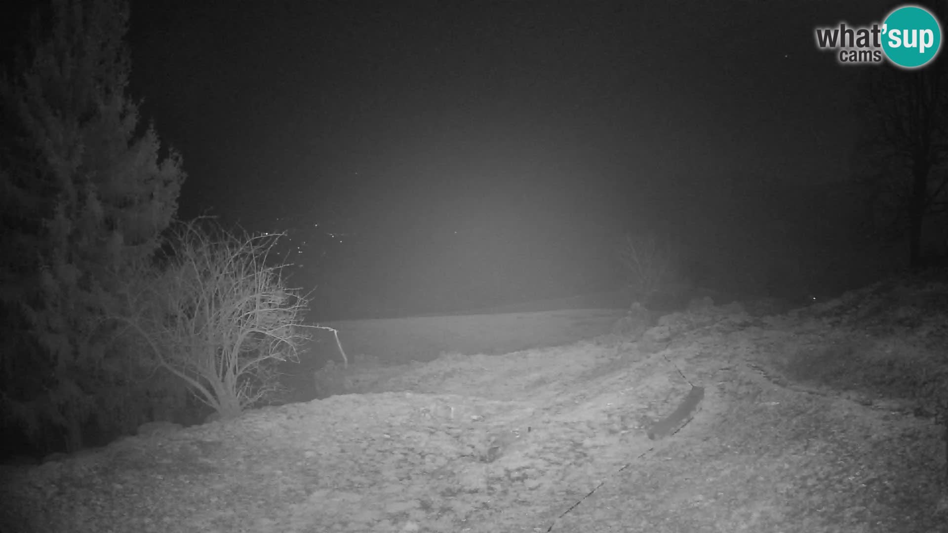 Slajka camera en vivo | Gorenja Vas | Eslovenia