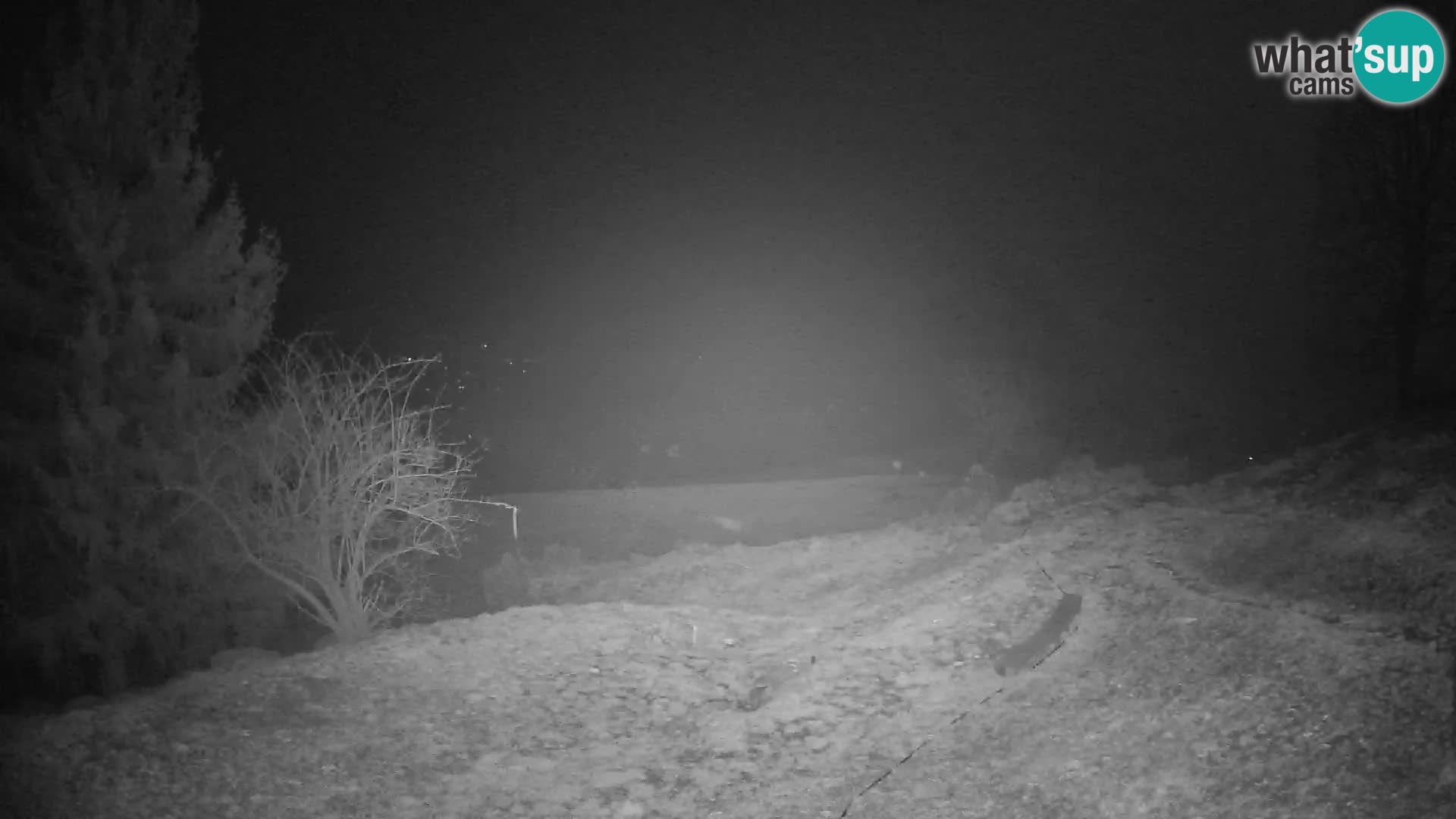 Slajka webcam | Gorenja Vas | Slowenien