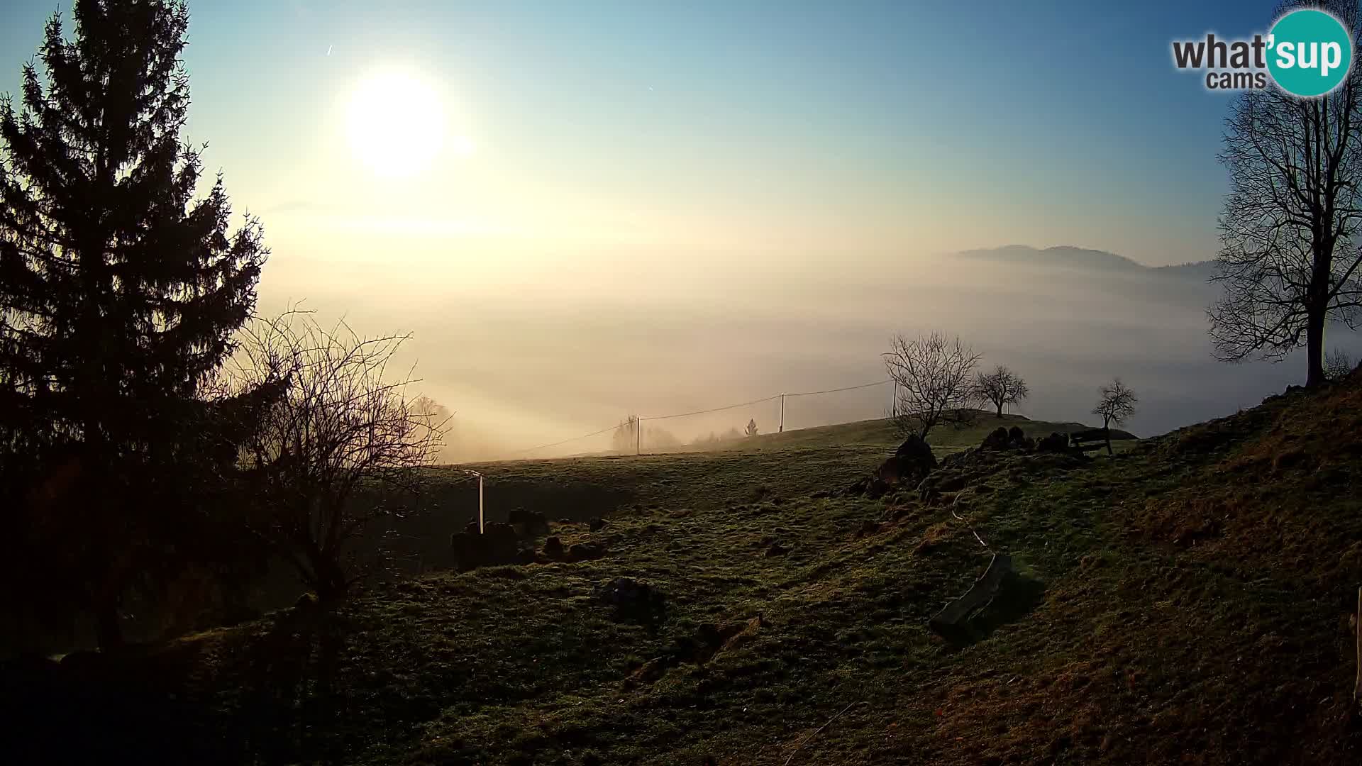 Slajka camera en vivo | Gorenja Vas | Eslovenia