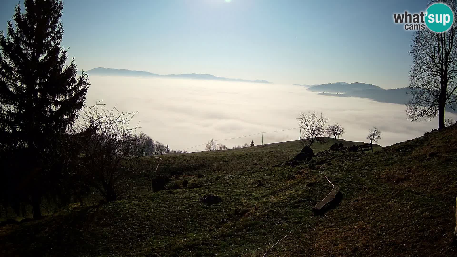 Slajka webam | Gorenja vas | Slovenia