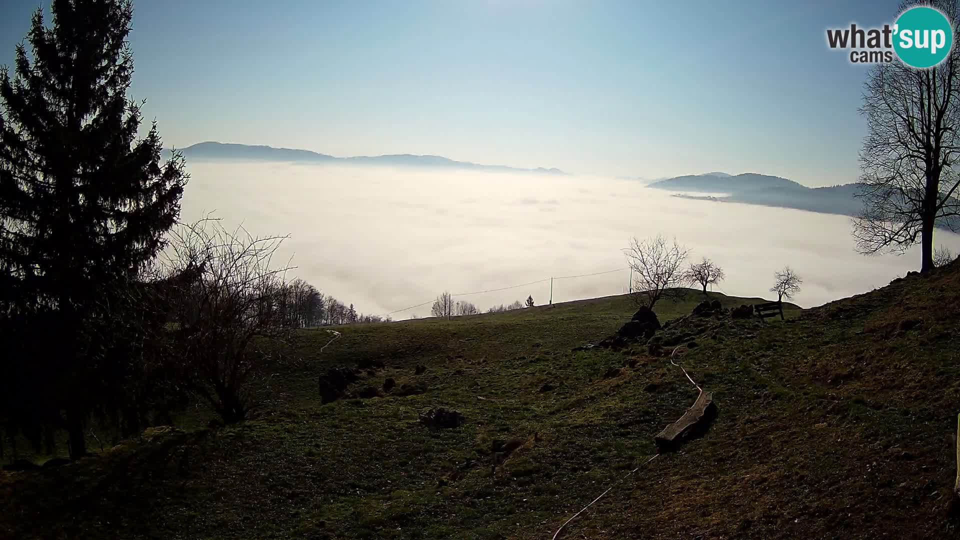 Slajka camera en vivo | Gorenja Vas | Eslovenia