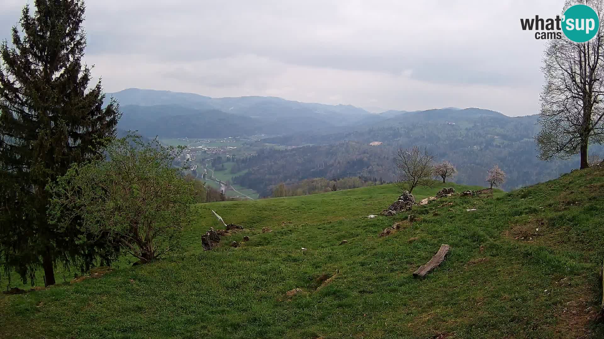 Slajka webam | Gorenja vas | Slovenia