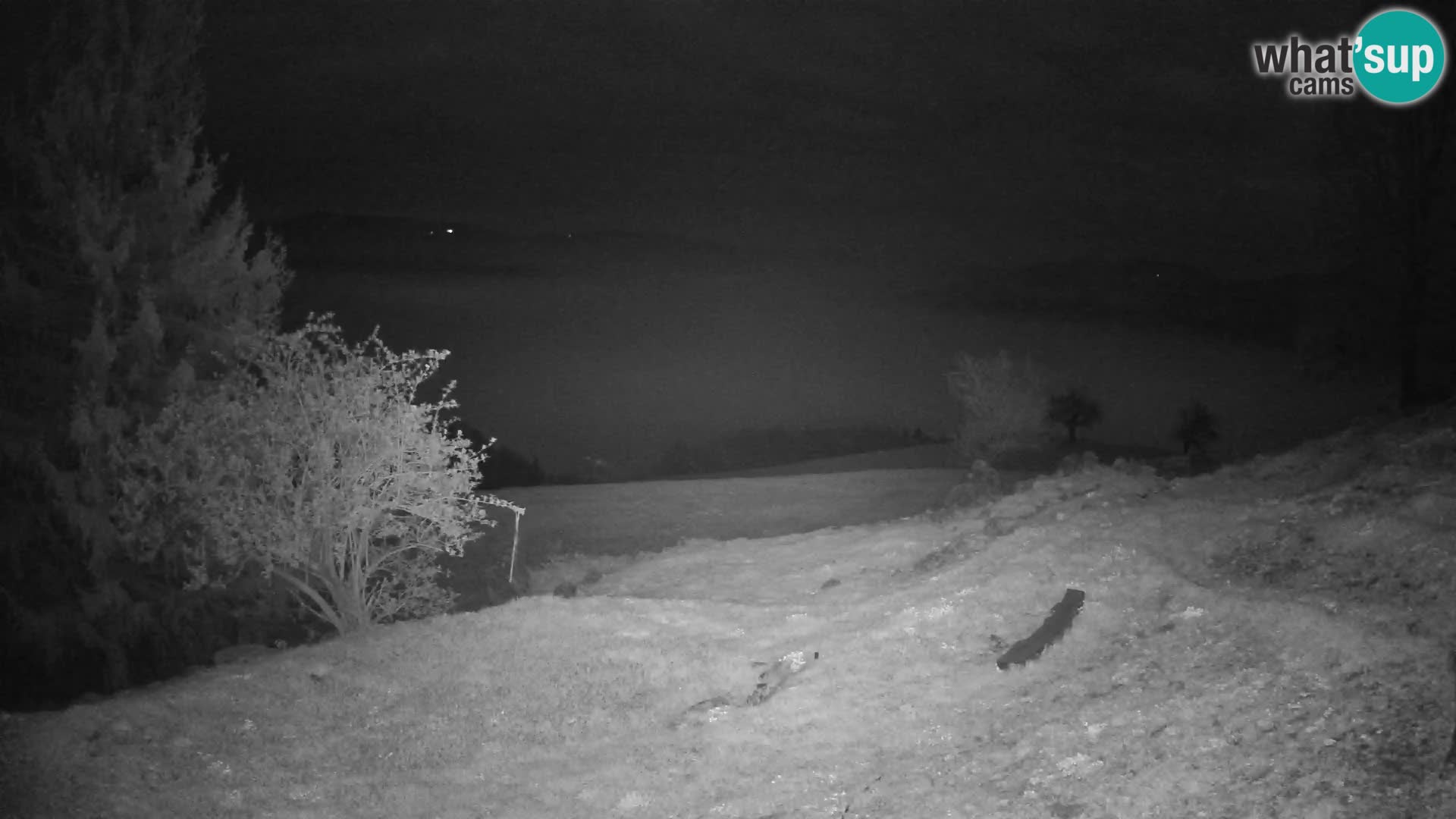 Slajka webam | Gorenja vas | Slovenia