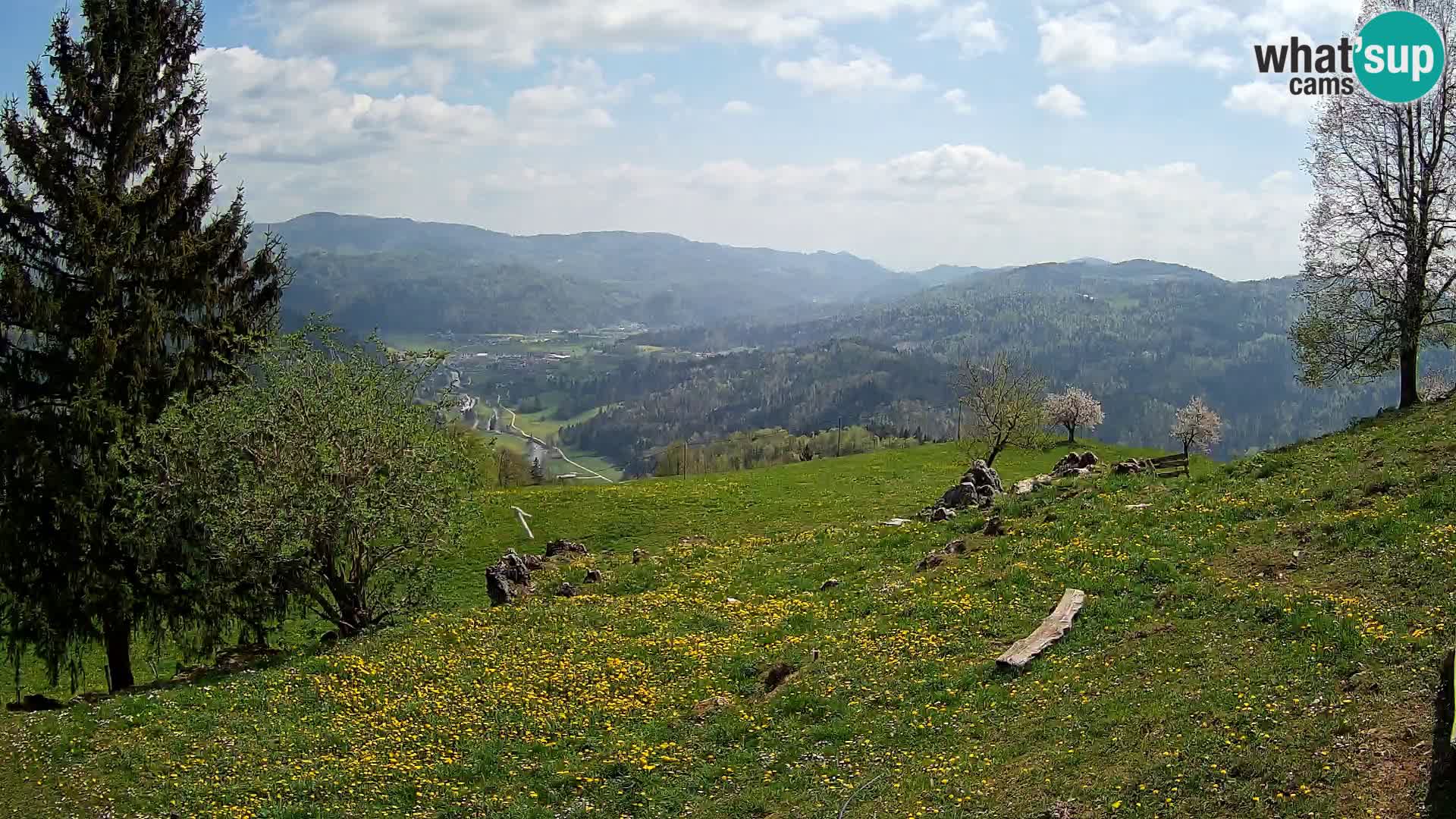 Slajka webcam | Gorenja Vas | Slowenien