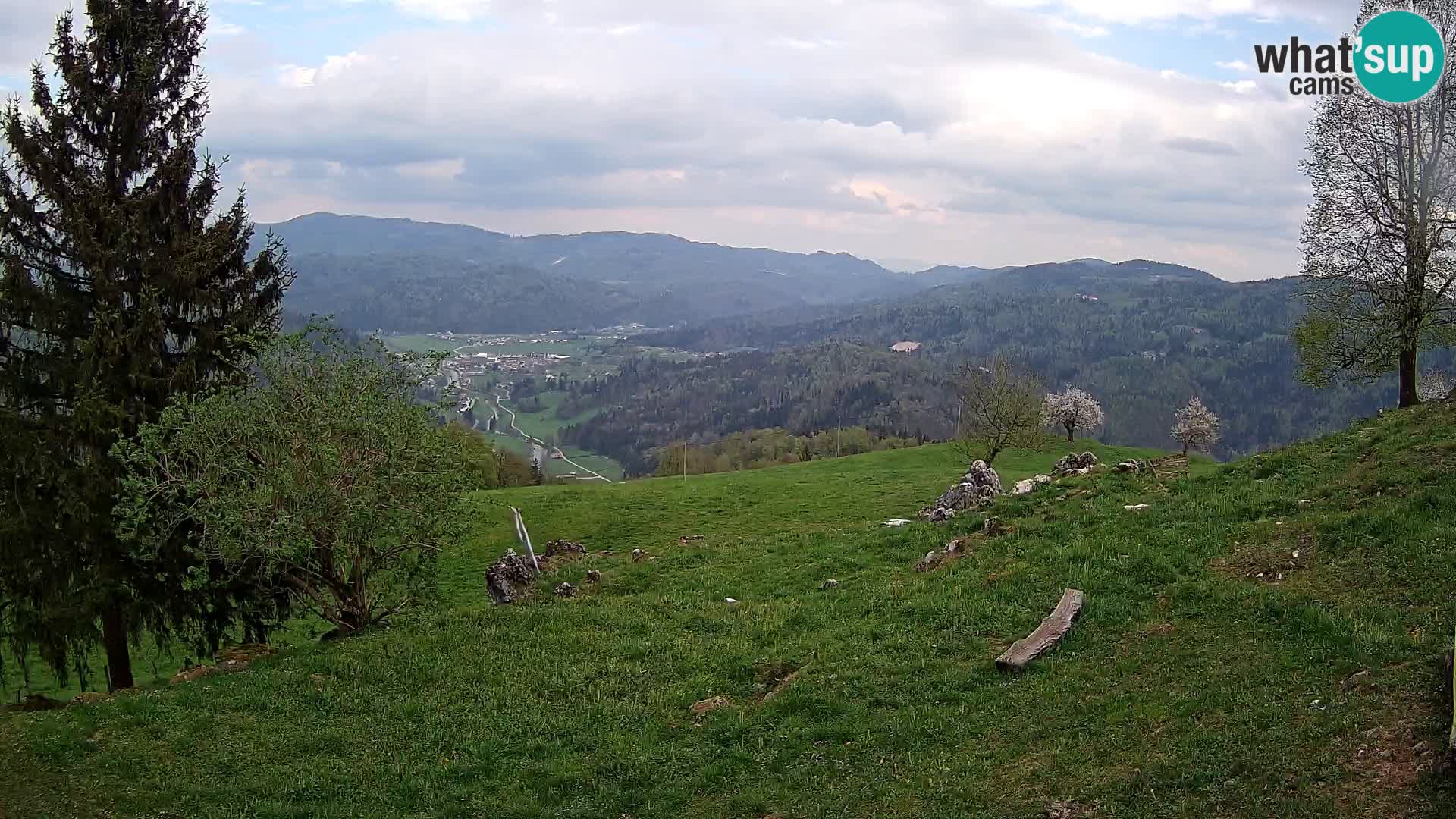 Slajka webam | Gorenja vas | Slovenia