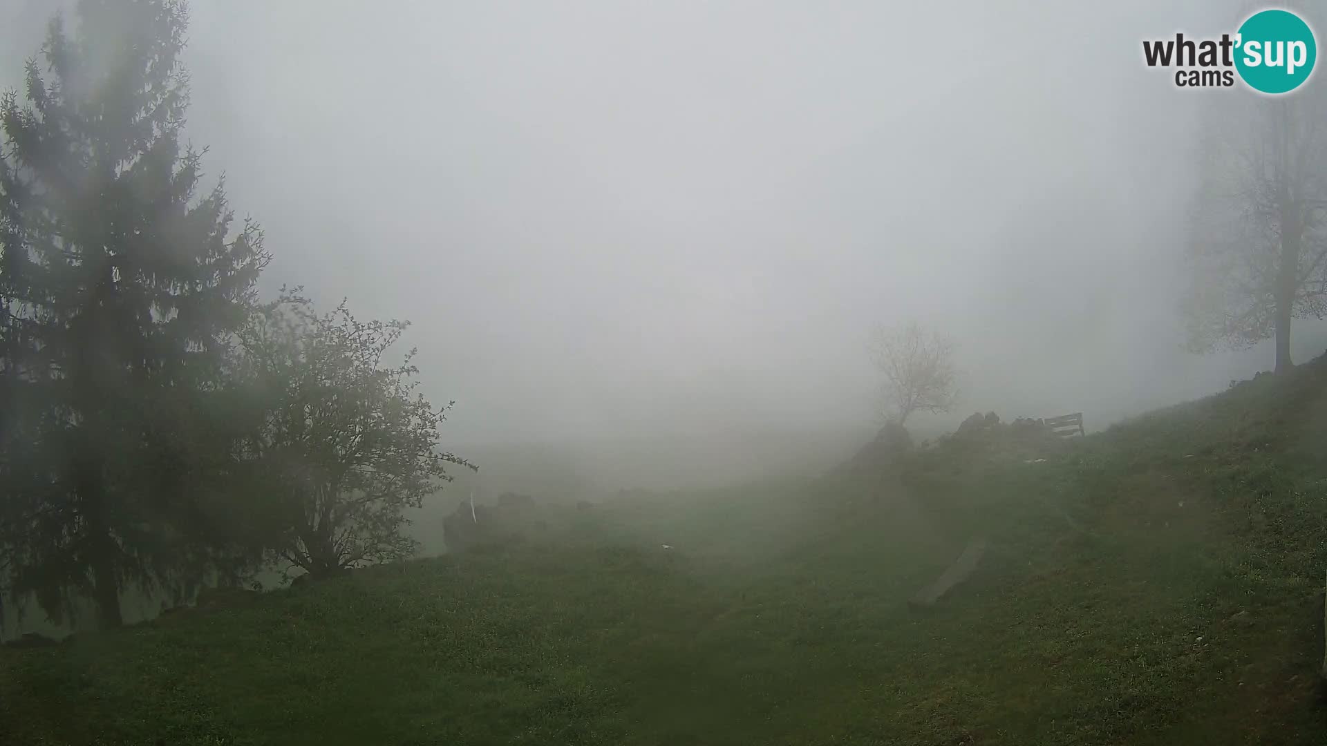 Slajka webcam | Gorenja Vas | Slowenien