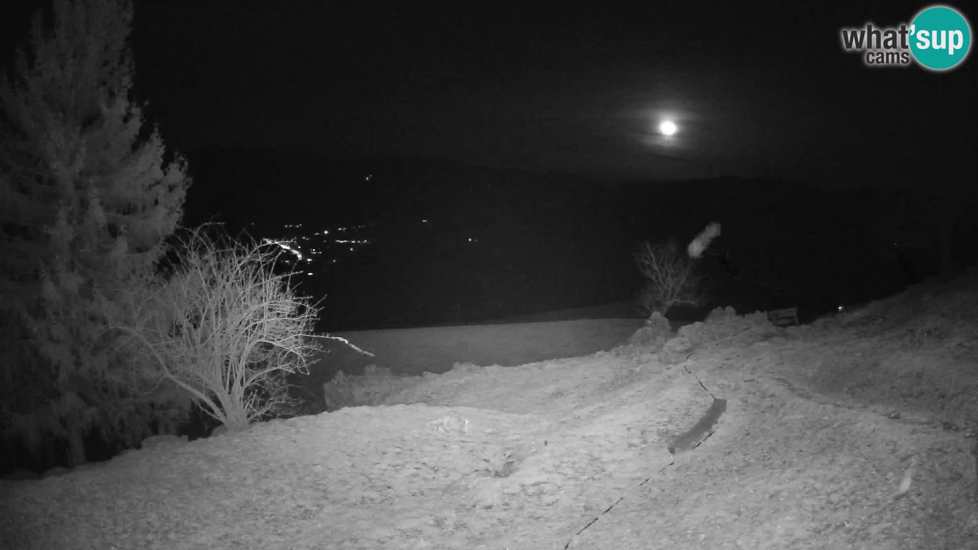 Slajka livecam | Gorenja Vas | Slovénie