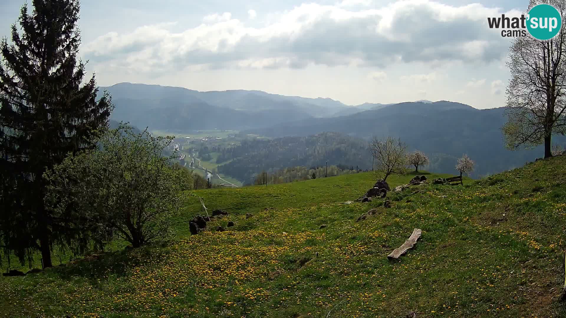 Slajka webam | Gorenja vas | Slovenia