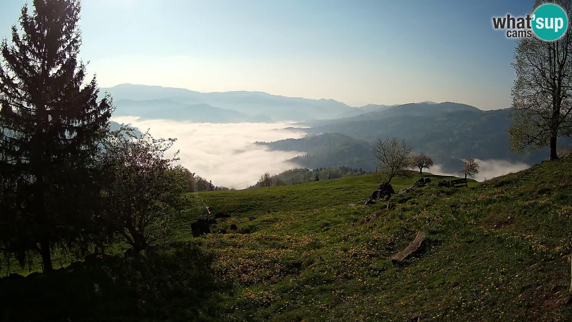 Slajka web kamera | Gorenja Vas | Slovenija