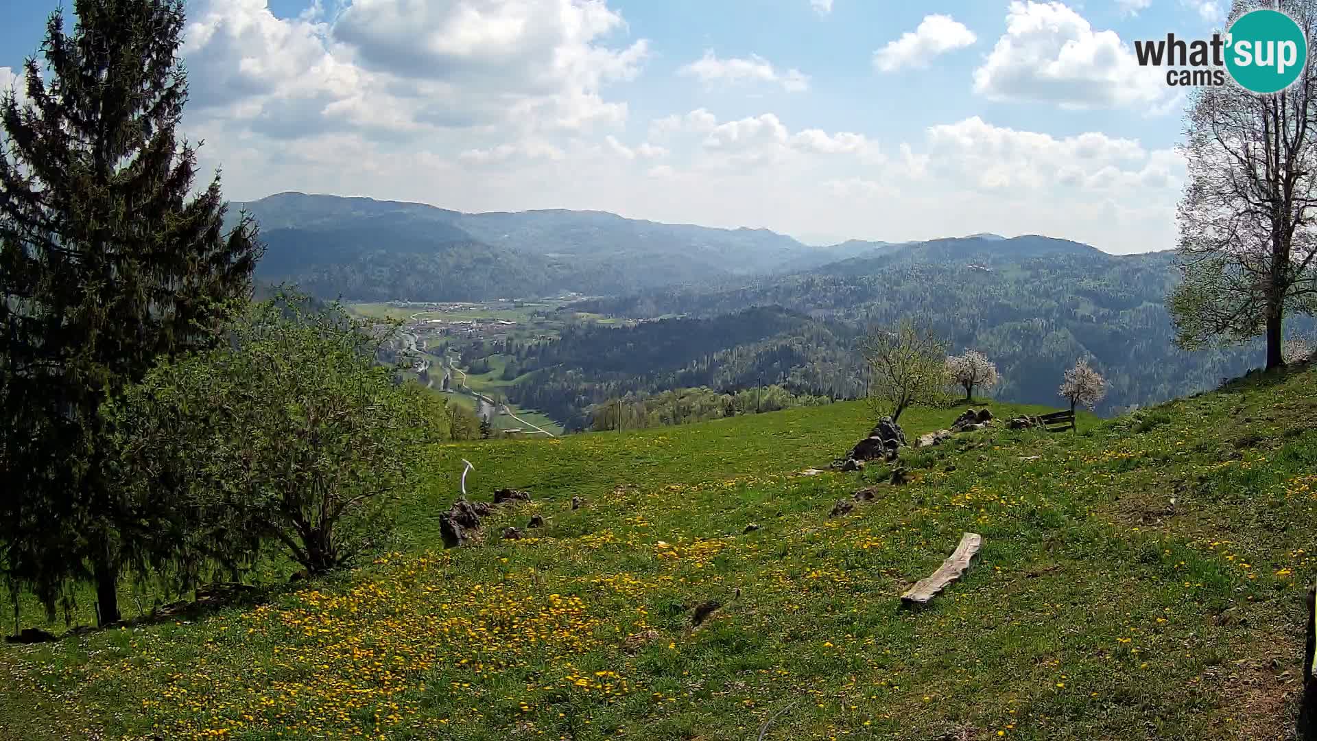 Slajka livecam | Gorenja Vas | Slovénie