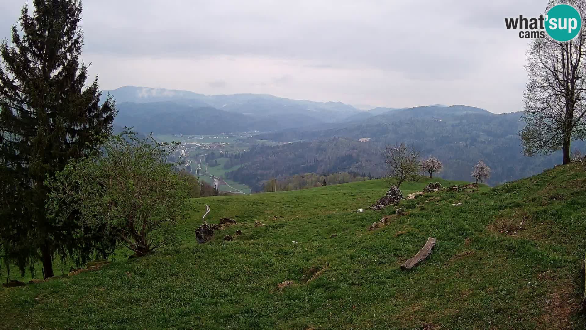 Slajka webam | Gorenja vas | Slovenia