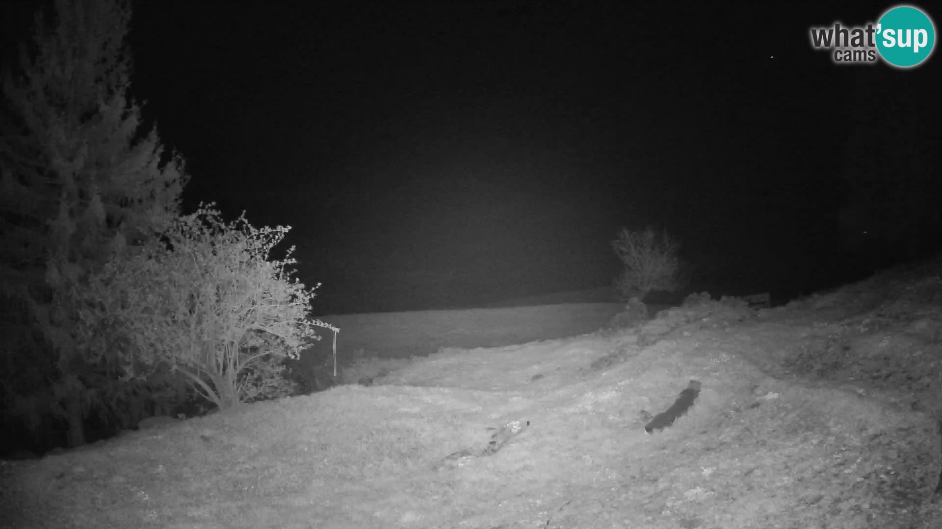 Spletna kamera Slajka | Gorenja vas