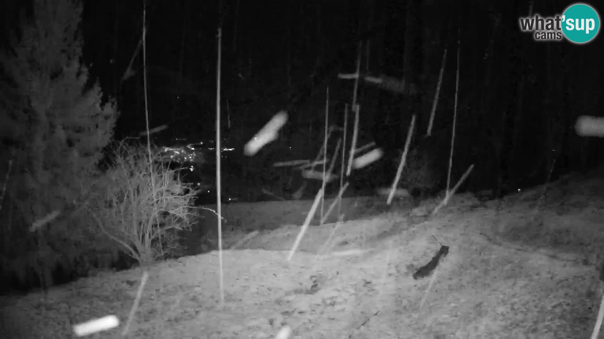 Slajka camera en vivo | Gorenja Vas | Eslovenia