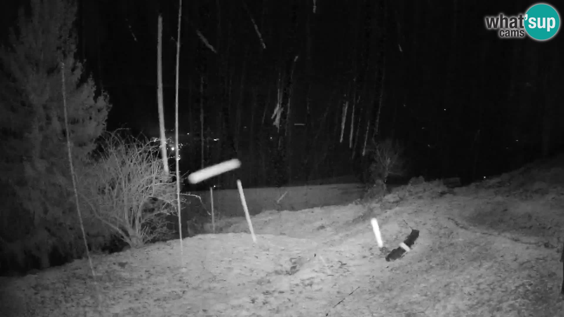 Slajka camera en vivo | Gorenja Vas | Eslovenia