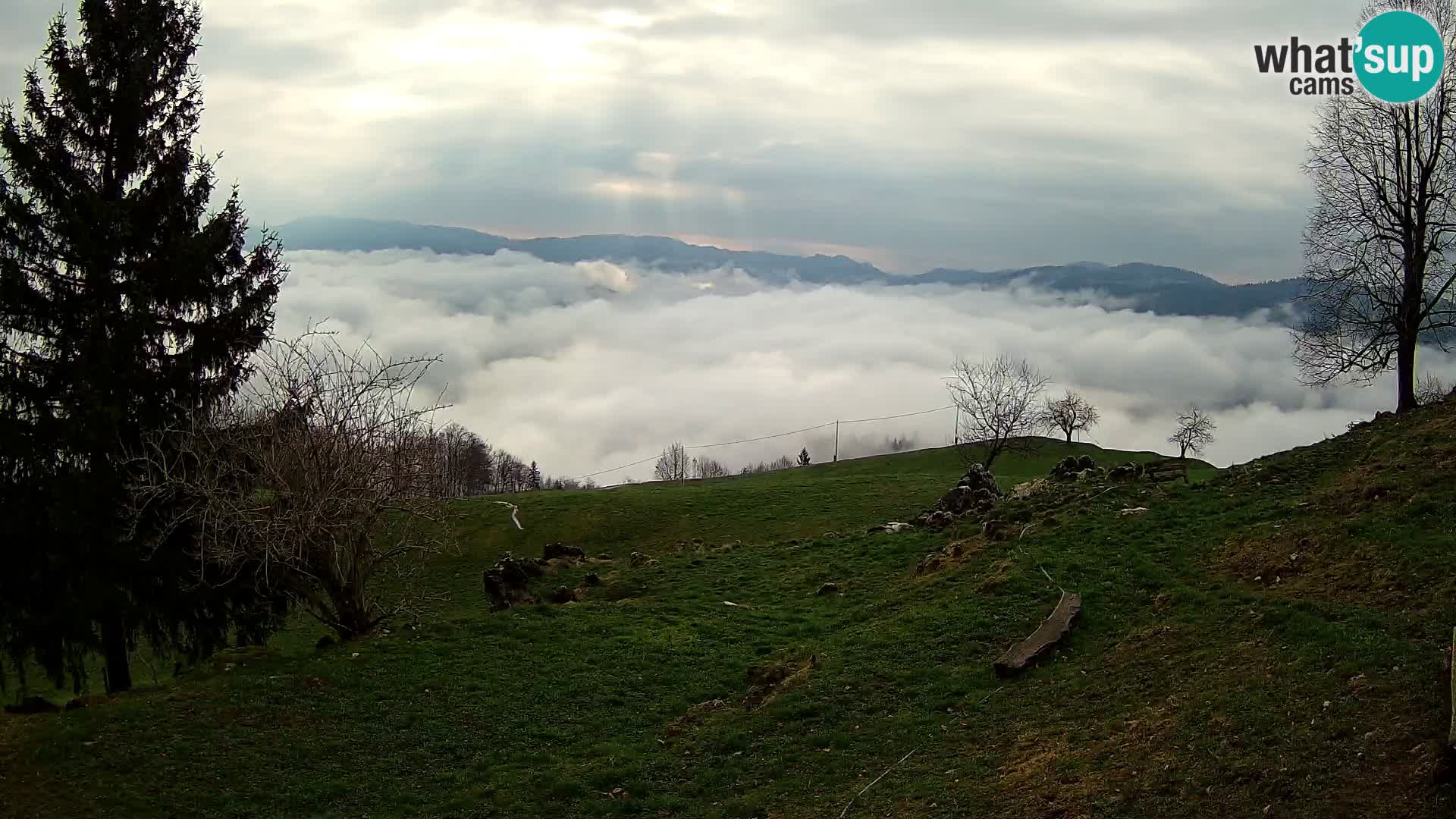 Slajka webam | Gorenja vas | Slovenia