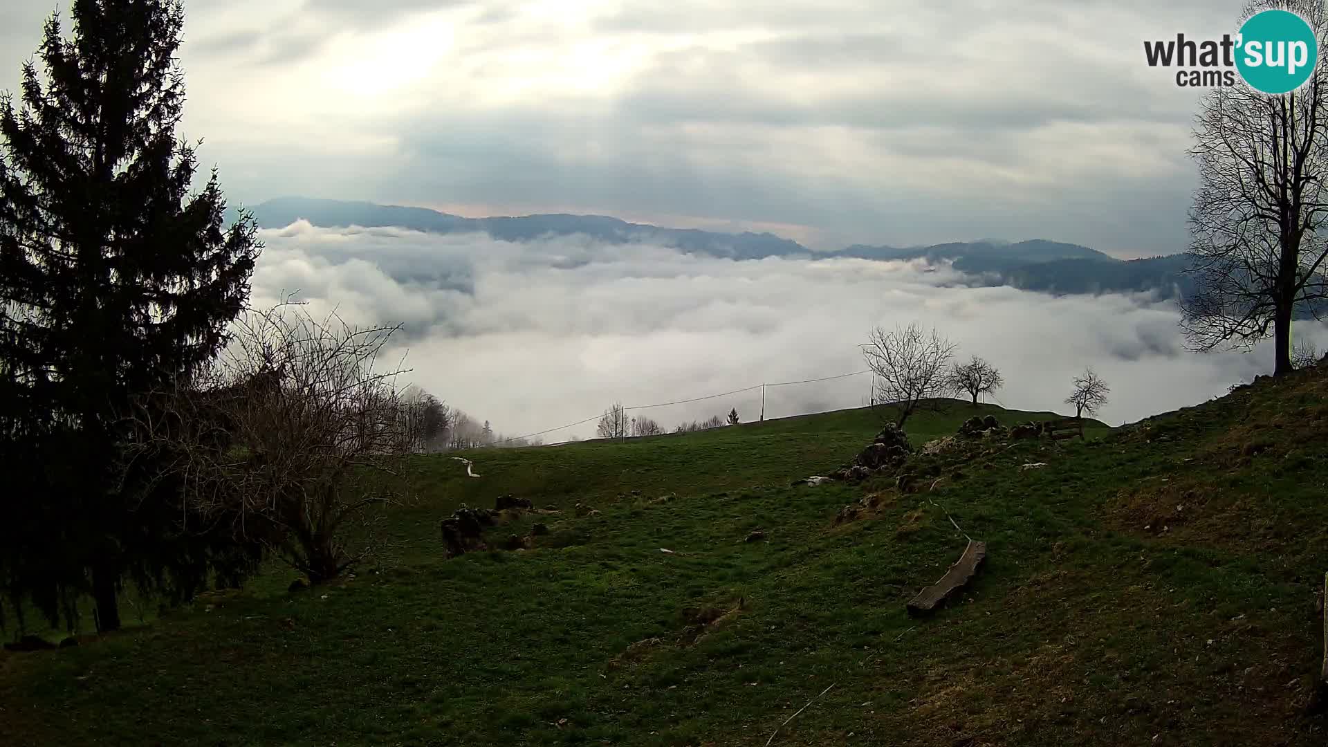 Slajka webam | Gorenja vas | Slovenia