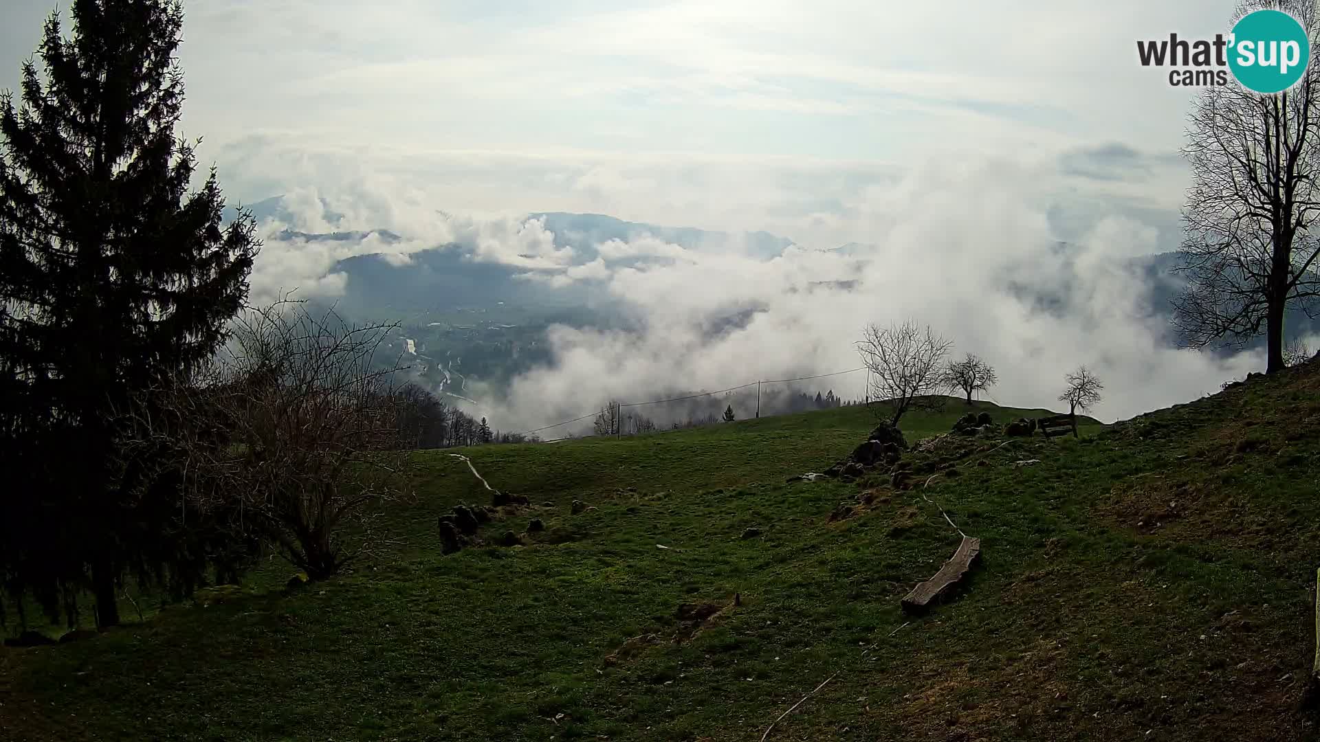 Slajka web kamera | Gorenja Vas | Slovenija