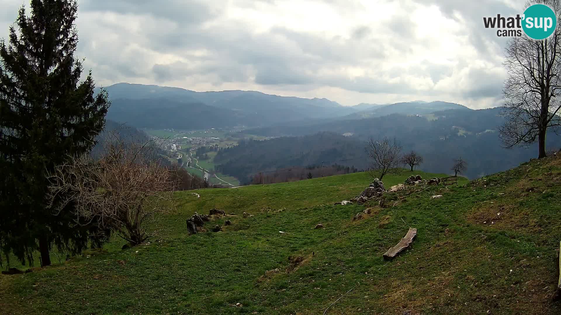 Slajka livecam | Gorenja Vas | Slovénie