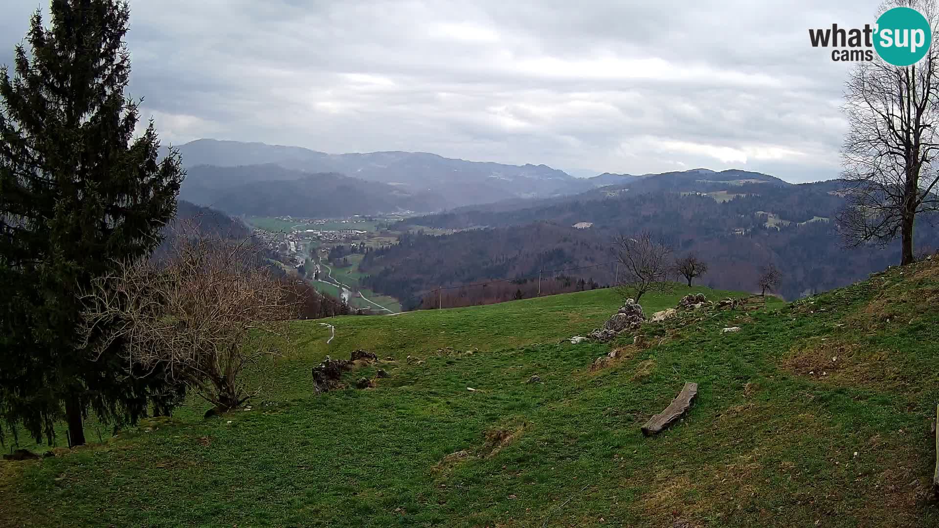 Slajka webam | Gorenja vas | Slovenia