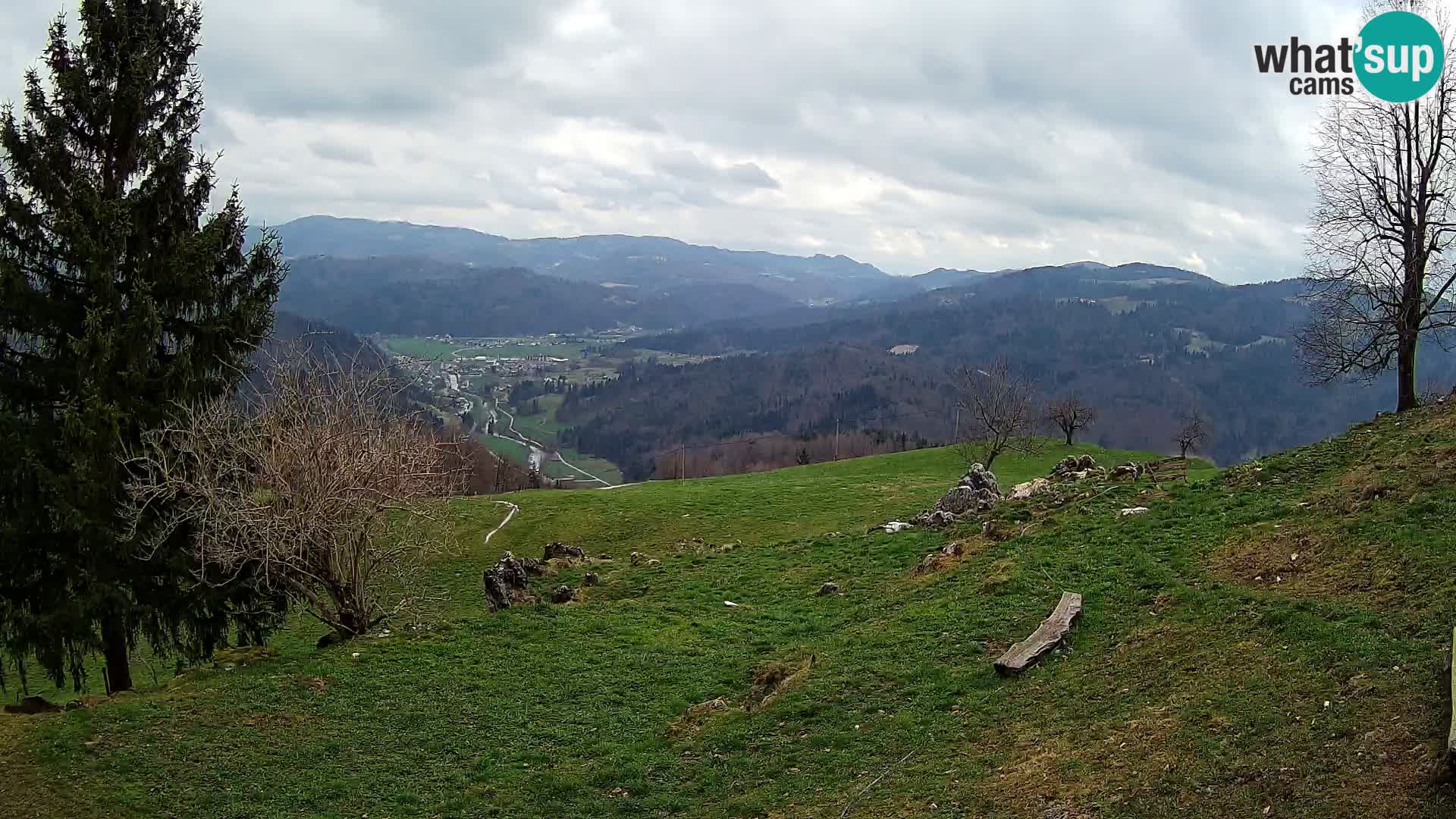 Slajka livecam | Gorenja Vas | Slovénie