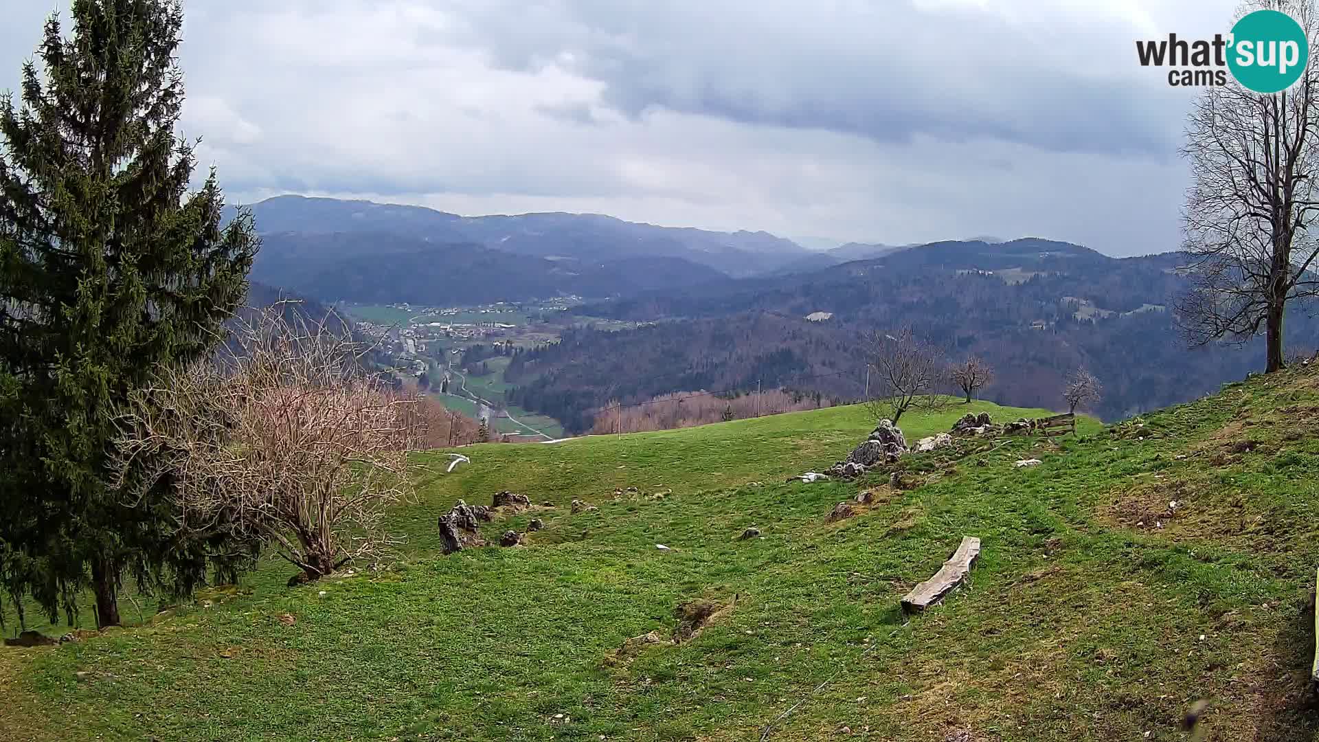 Slajka camera en vivo | Gorenja Vas | Eslovenia