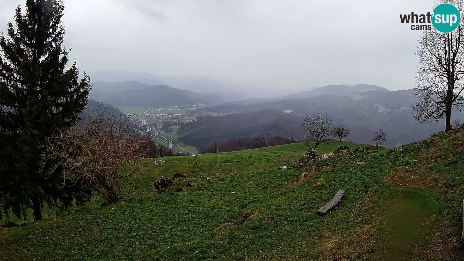 Slajka camera en vivo | Gorenja Vas | Eslovenia