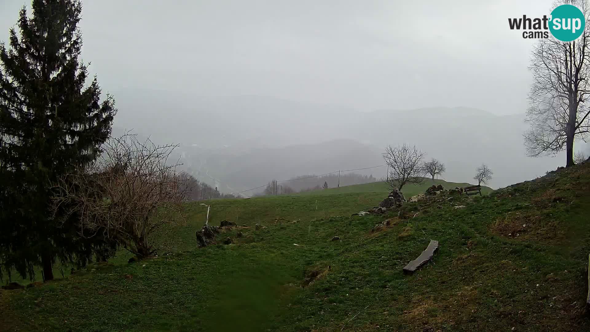 Slajka livecam | Gorenja Vas | Slovénie