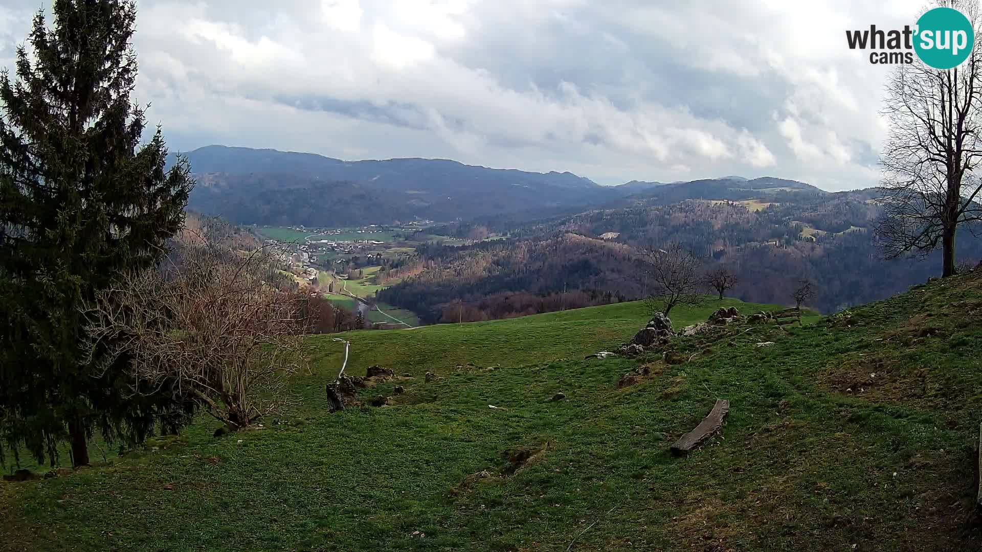 Slajka camera en vivo | Gorenja Vas | Eslovenia