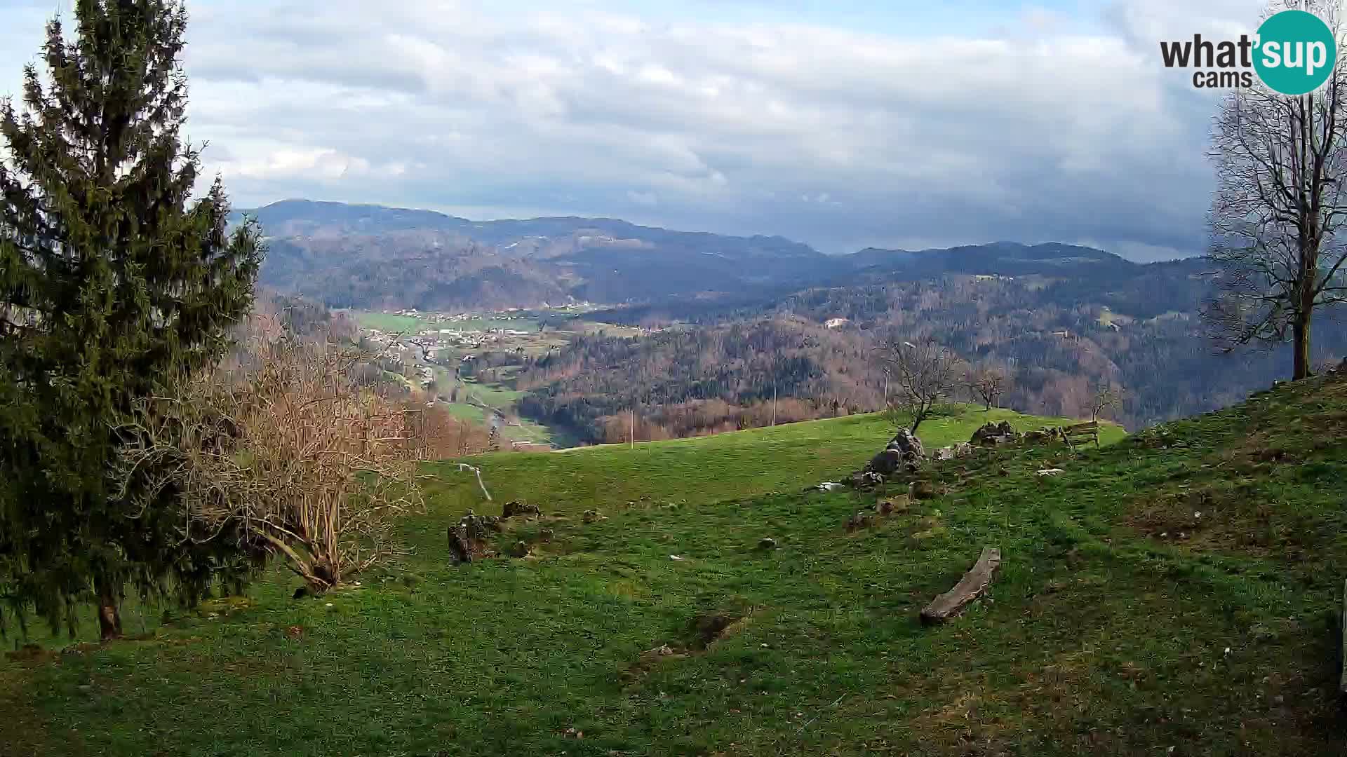 Slajka livecam | Gorenja Vas | Slovénie