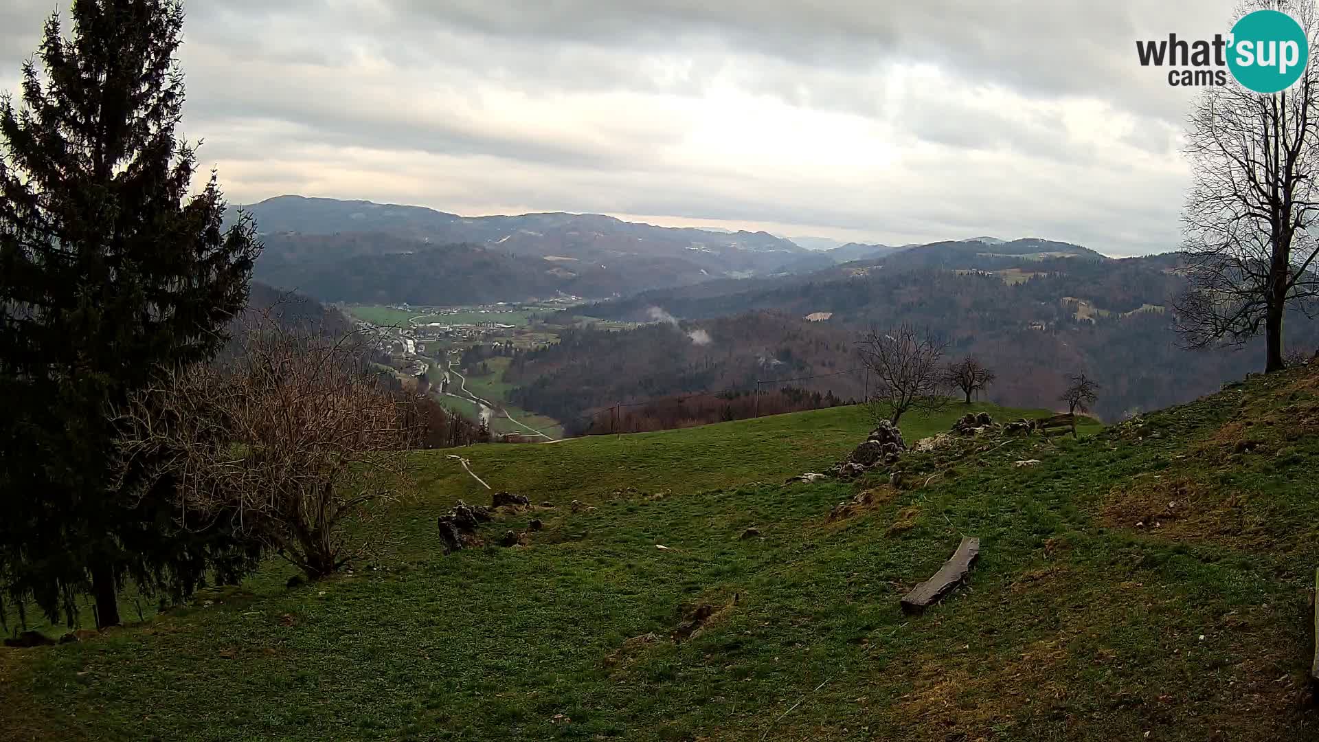 Slajka livecam | Gorenja Vas | Slovénie