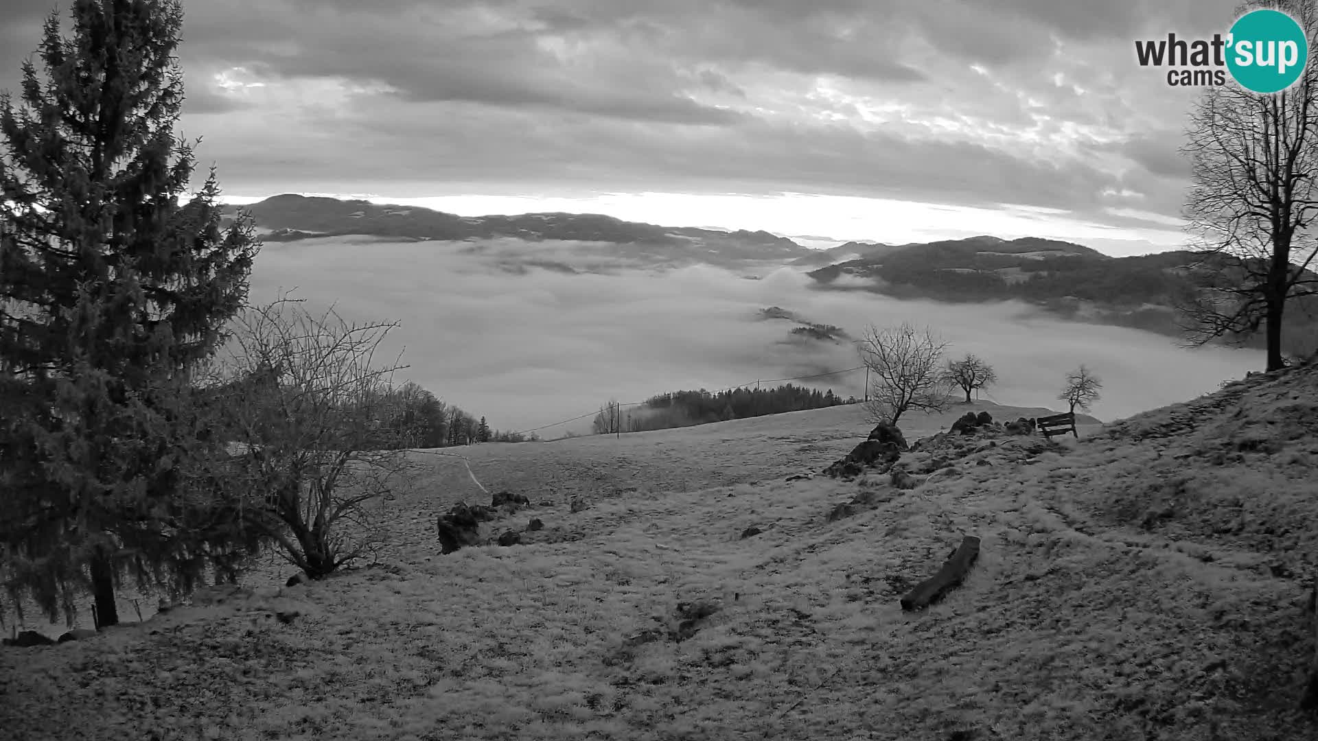 Slajka camera en vivo | Gorenja Vas | Eslovenia