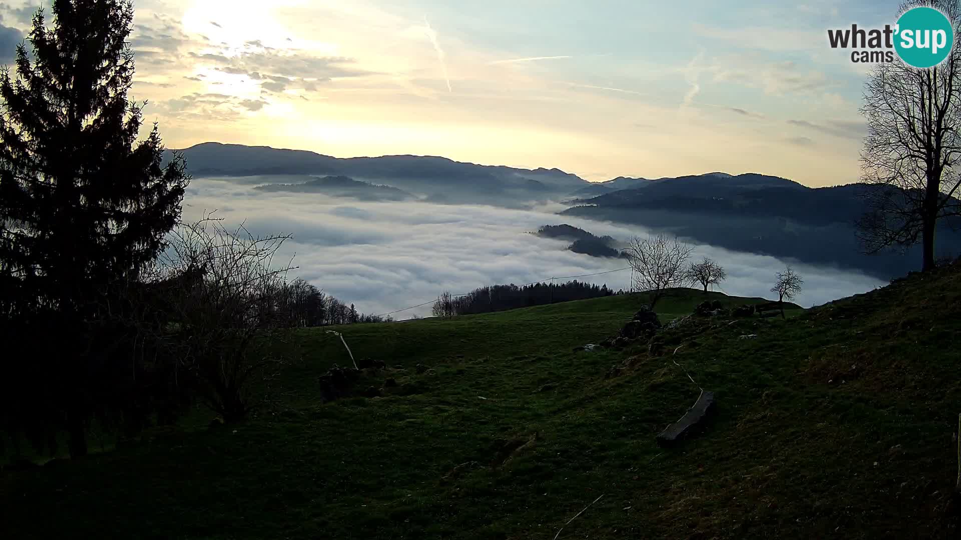 Slajka livecam | Gorenja Vas | Slovénie