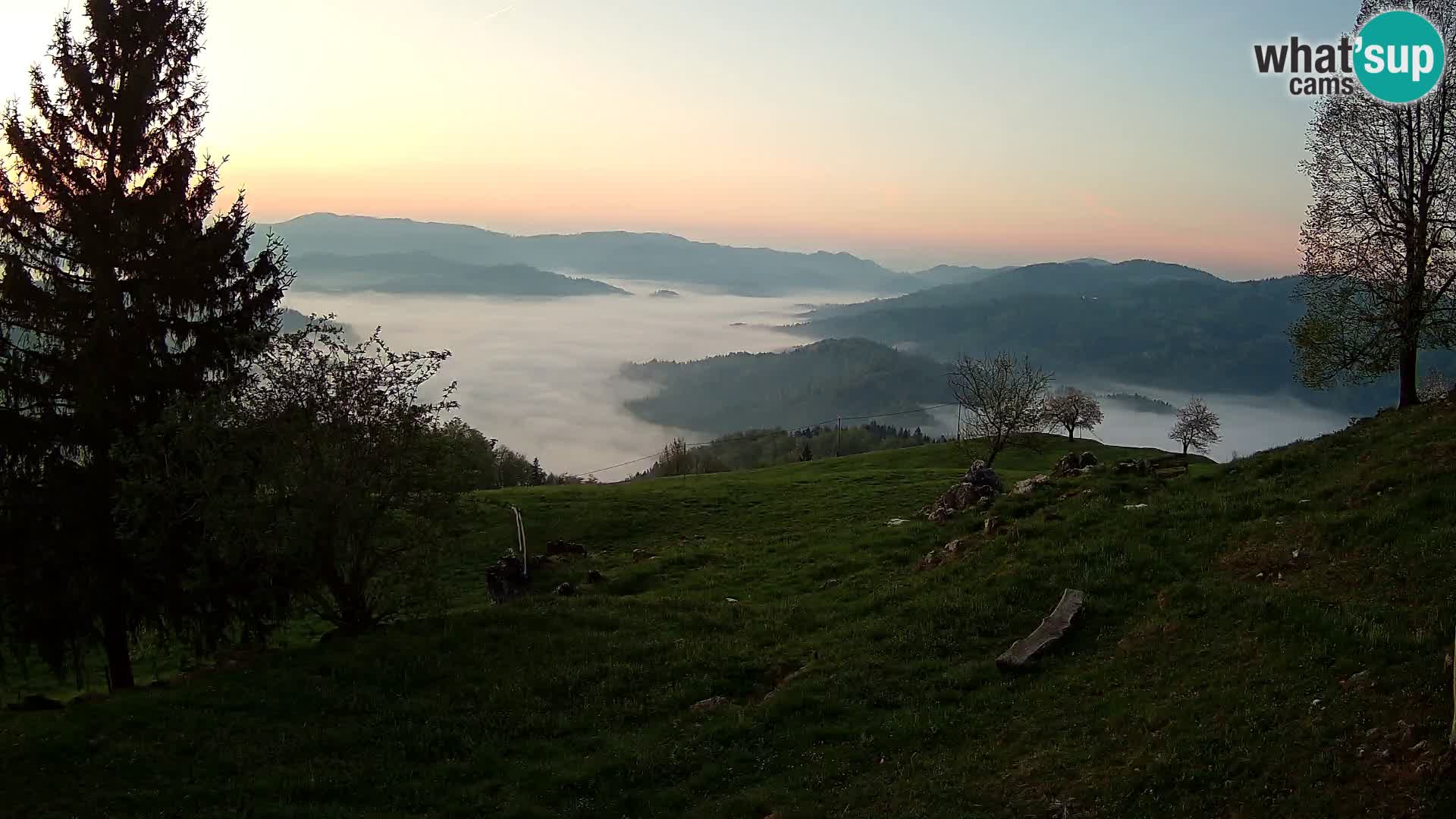 Slajka livecam | Gorenja Vas | Slovénie