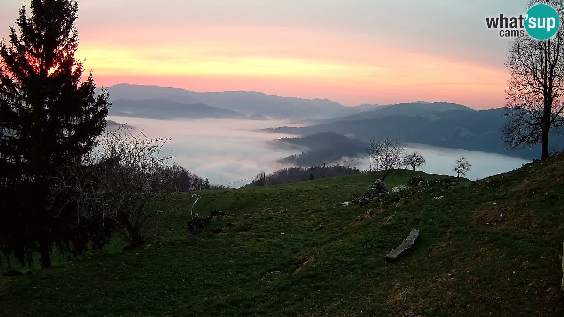 Slajka webam | Gorenja vas | Slovenia
