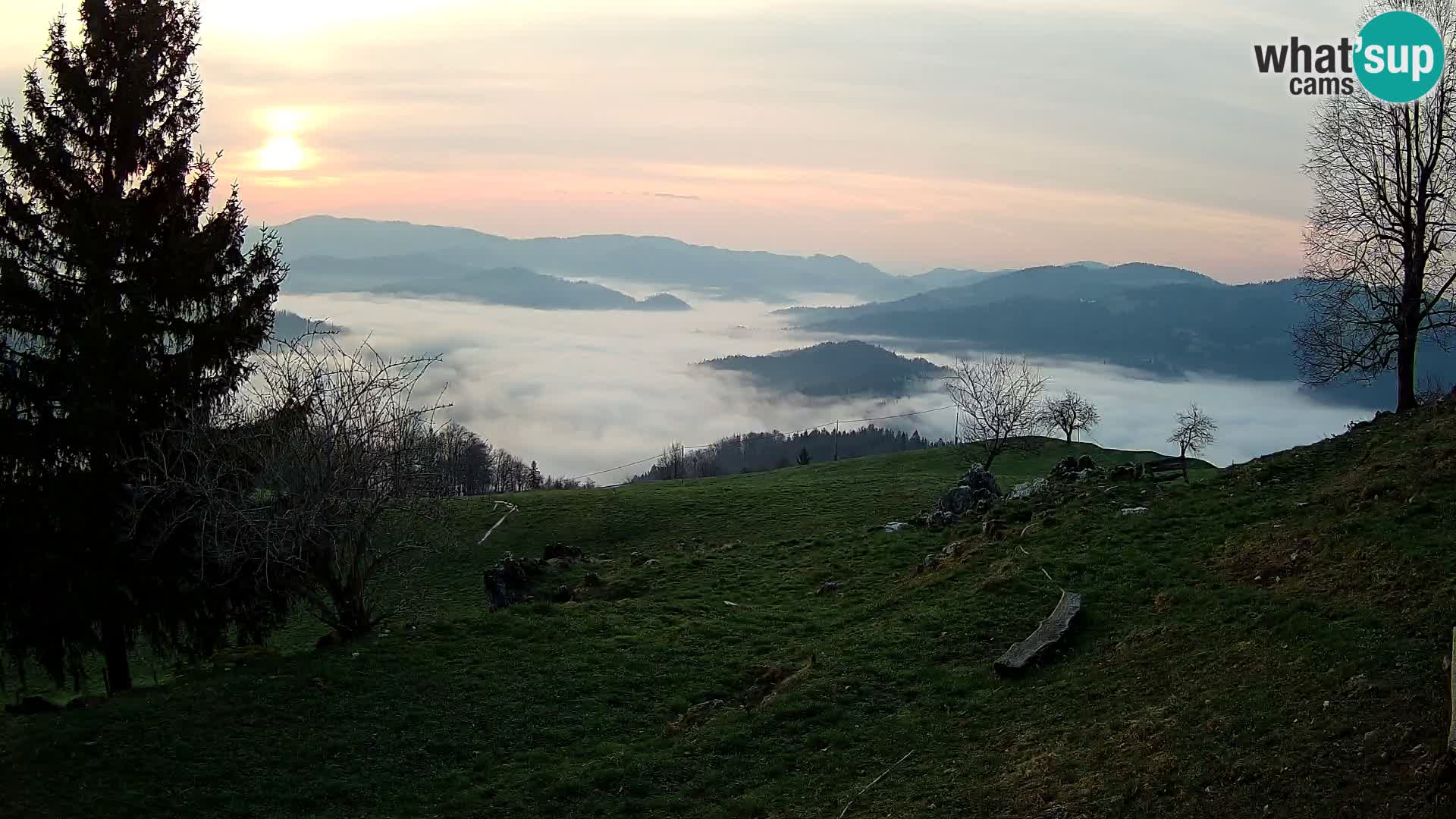 Slajka webam | Gorenja vas | Slovenia