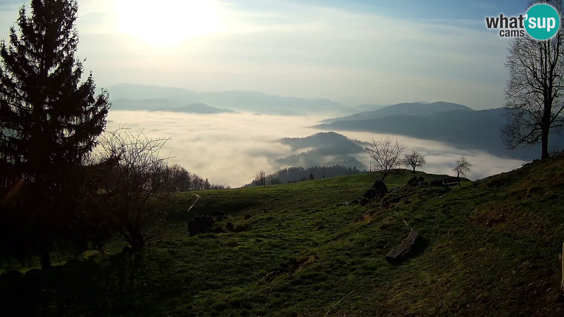 Slajka webam | Gorenja vas | Slovenia