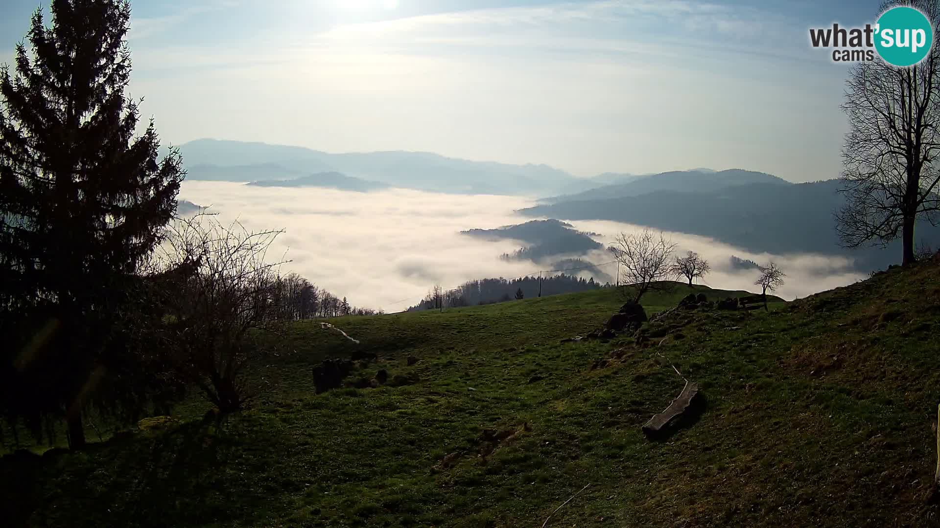 Slajka webam | Gorenja vas | Slovenia