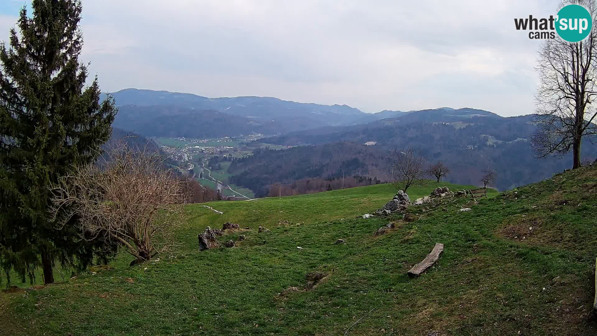 Slajka webam | Gorenja vas | Slovenia