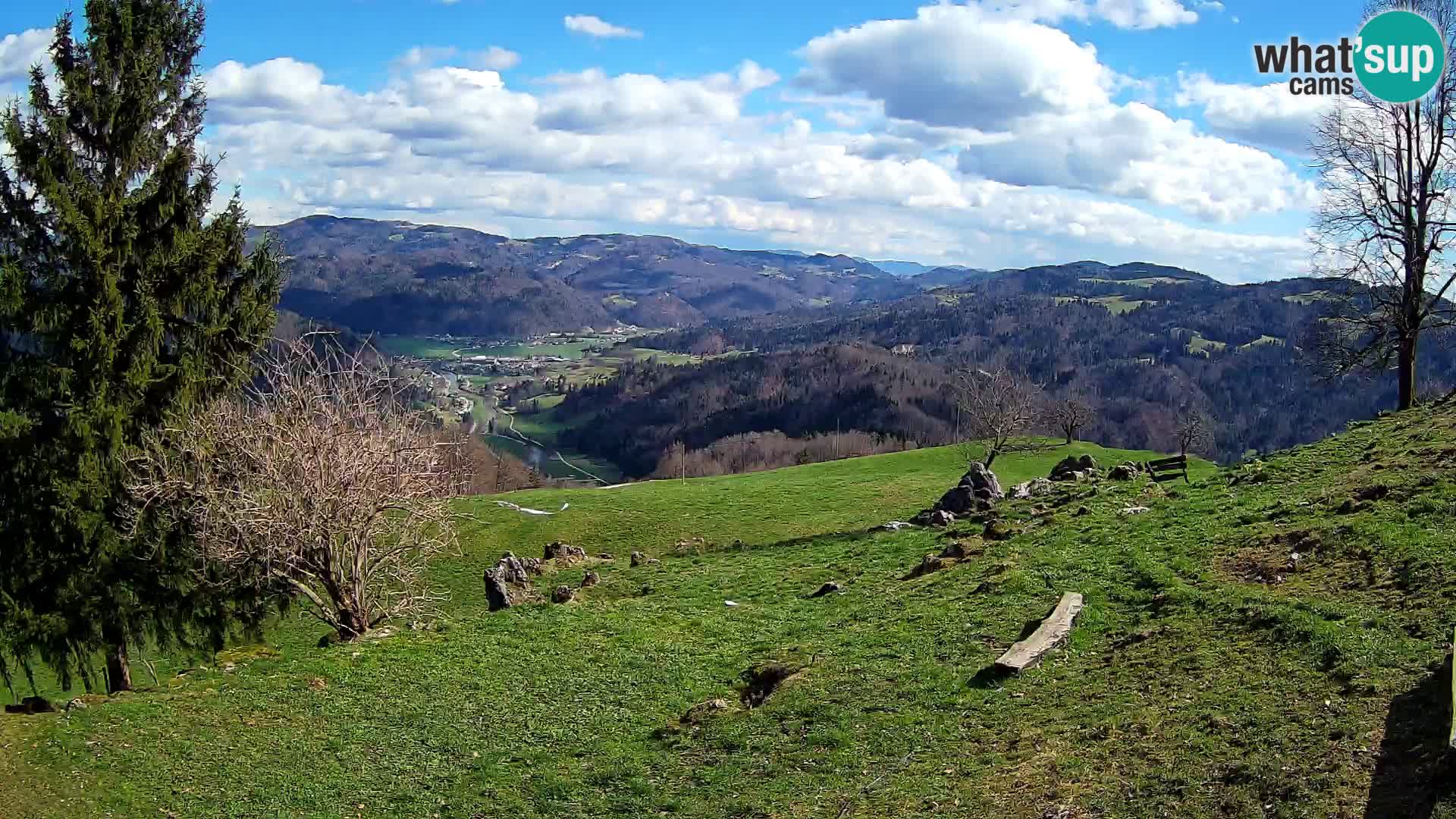 Slajka camera en vivo | Gorenja Vas | Eslovenia