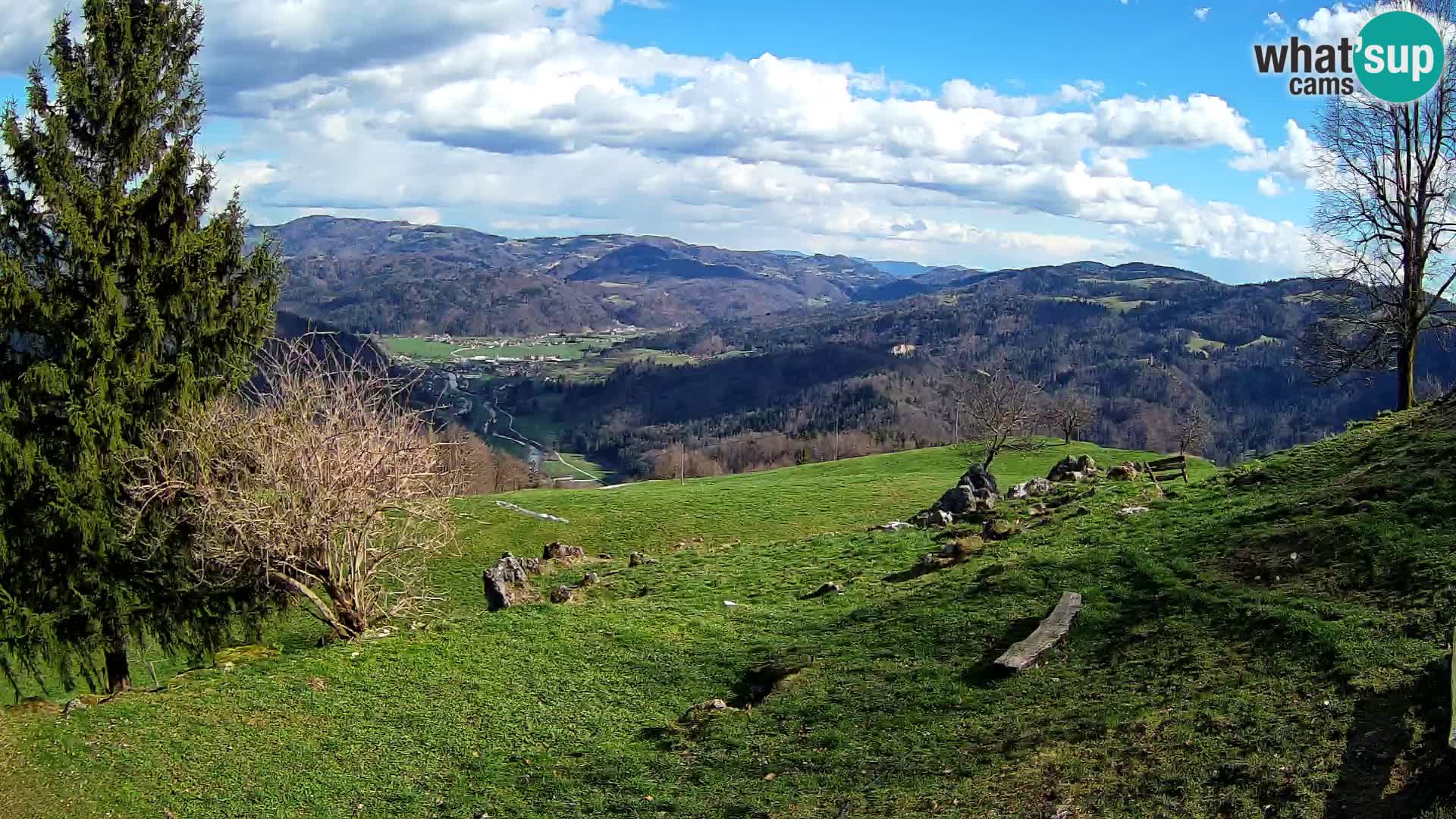 Slajka livecam | Gorenja Vas | Slovénie