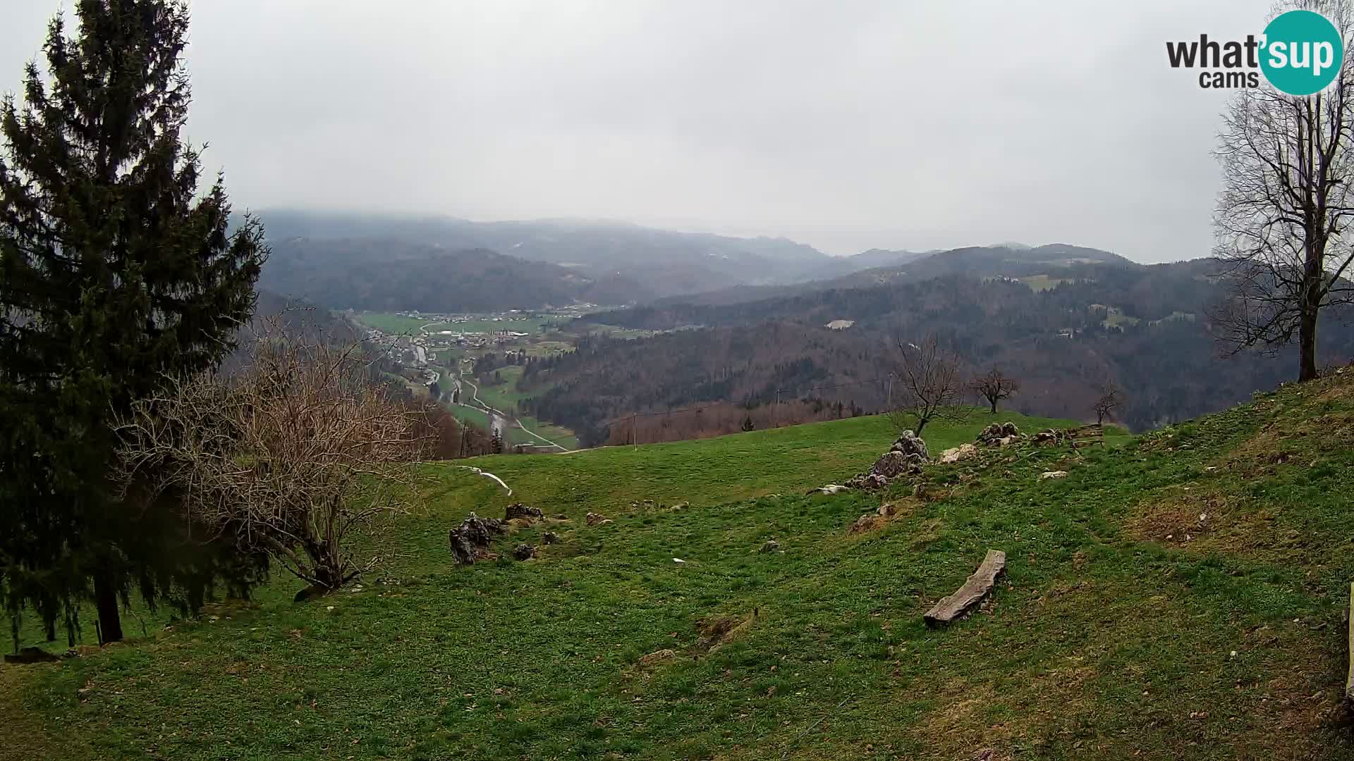 Slajka webam | Gorenja vas | Slovenia