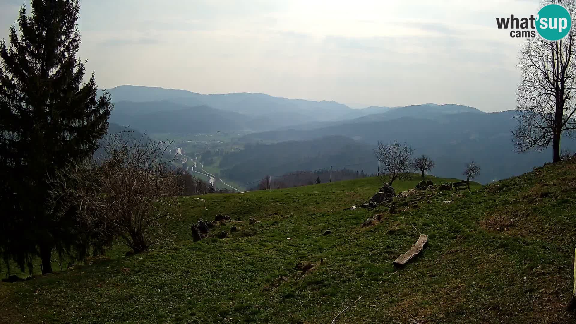 Slajka camera en vivo | Gorenja Vas | Eslovenia