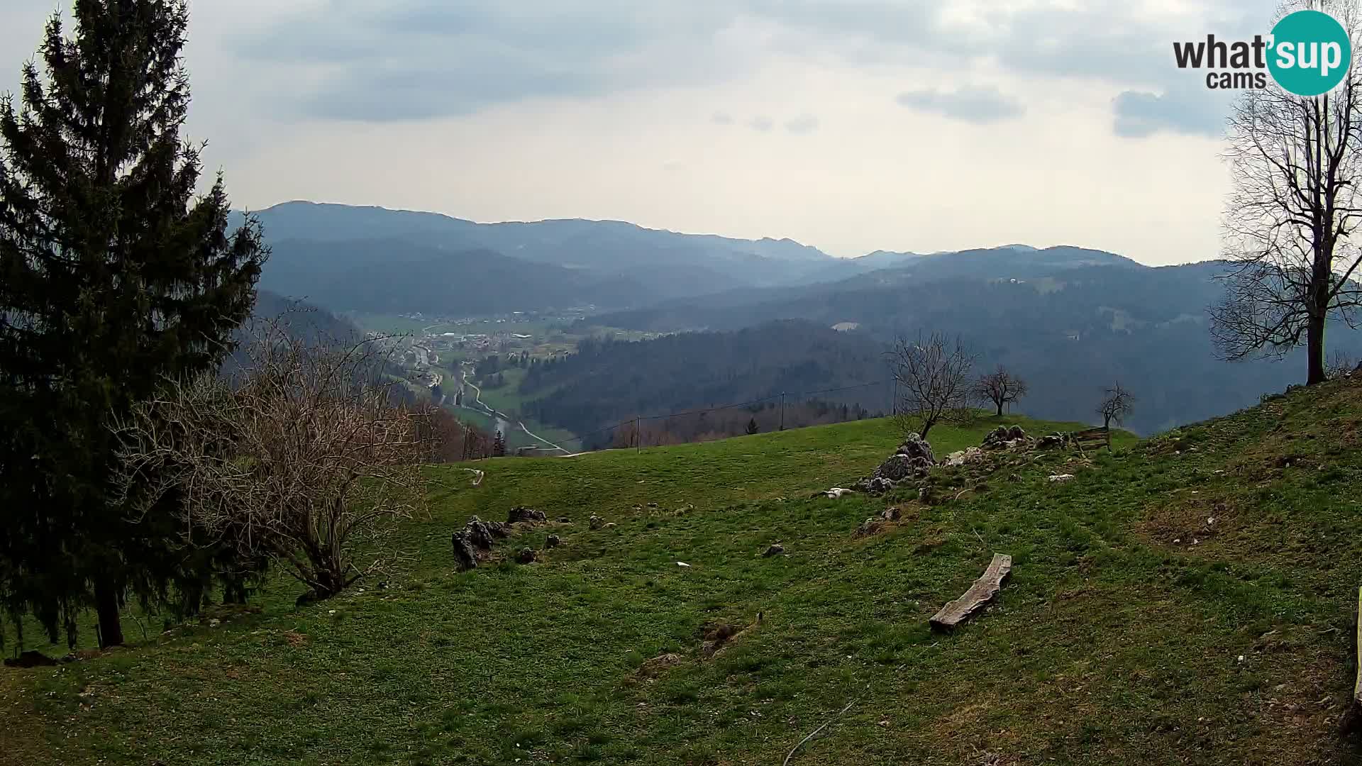 Slajka livecam | Gorenja Vas | Slovénie