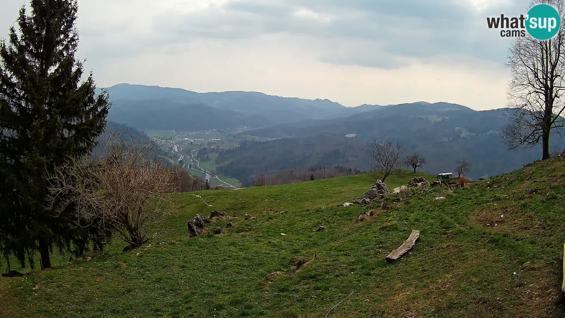 Slajka camera en vivo | Gorenja Vas | Eslovenia