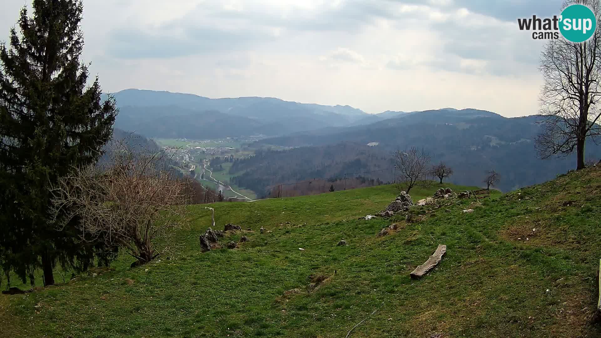 Slajka camera en vivo | Gorenja Vas | Eslovenia