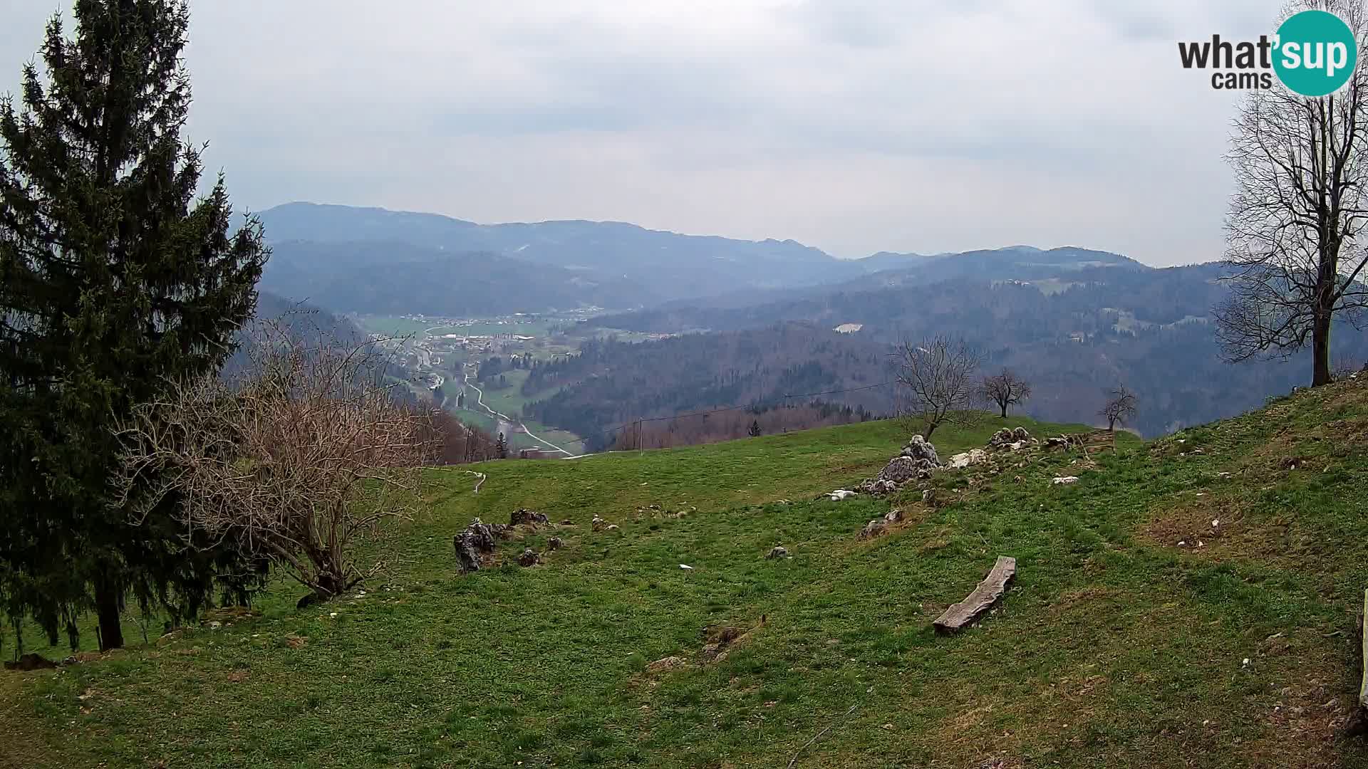 Slajka camera en vivo | Gorenja Vas | Eslovenia