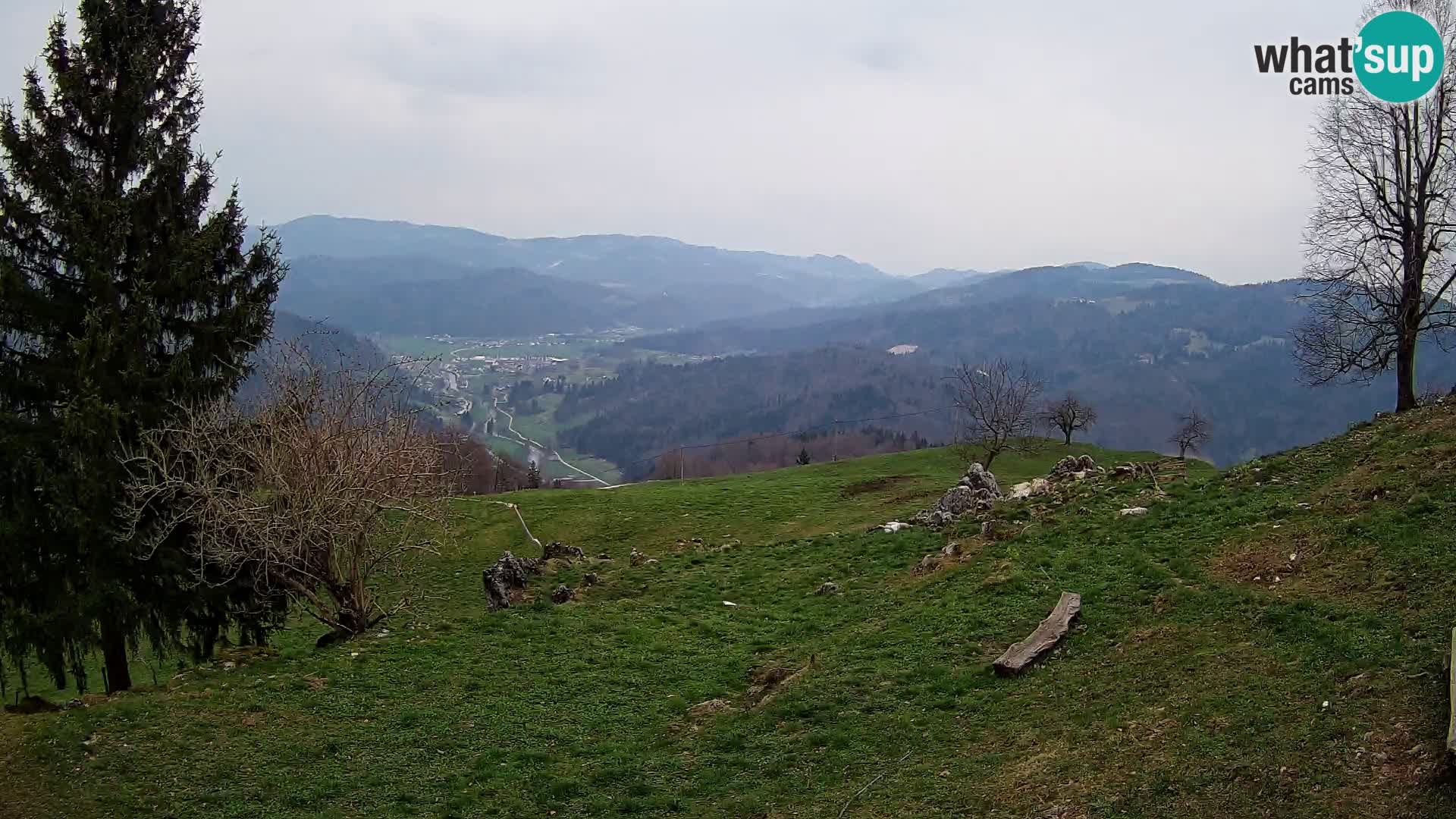 Slajka livecam | Gorenja Vas | Slovénie