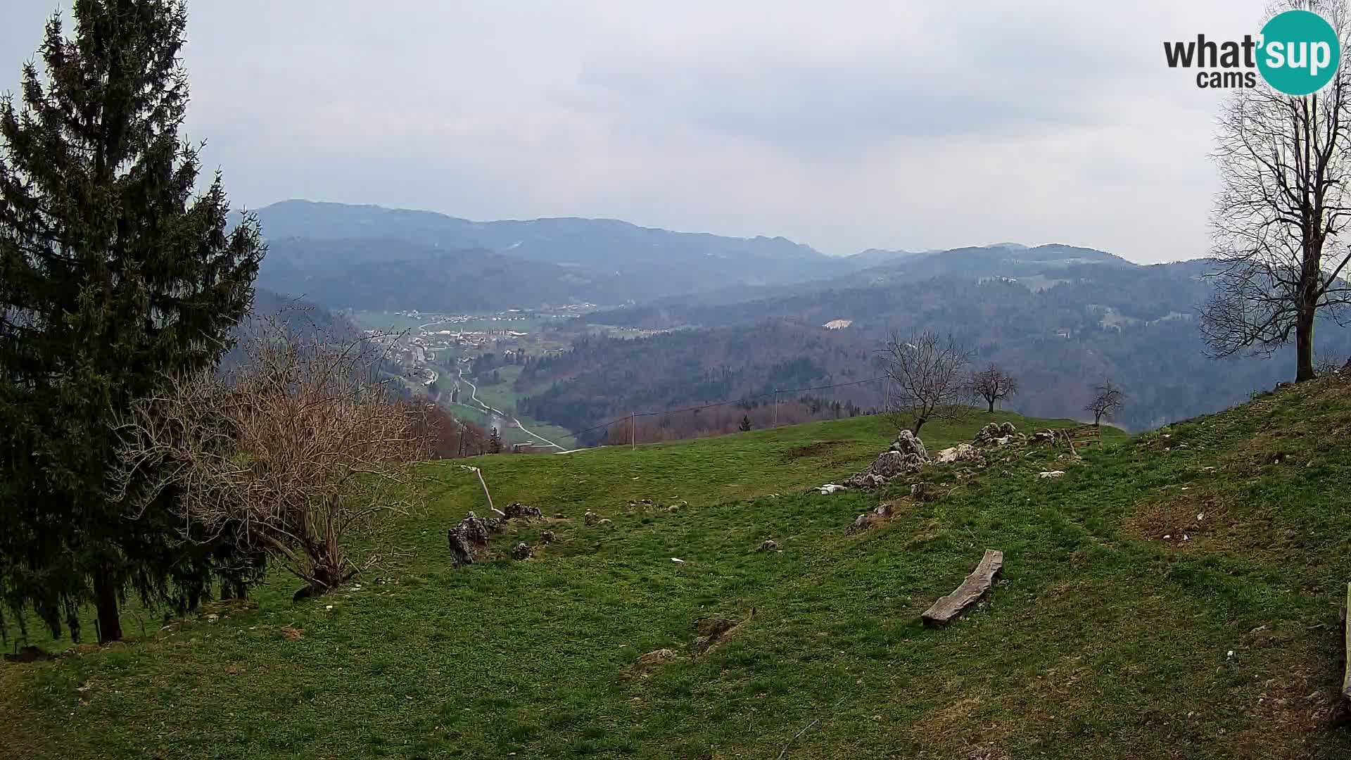 Slajka webam | Gorenja vas | Slovenia