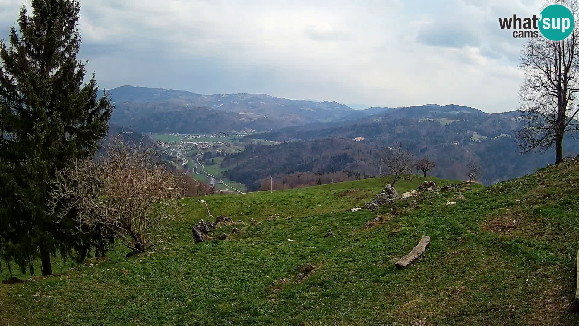 Slajka camera en vivo | Gorenja Vas | Eslovenia