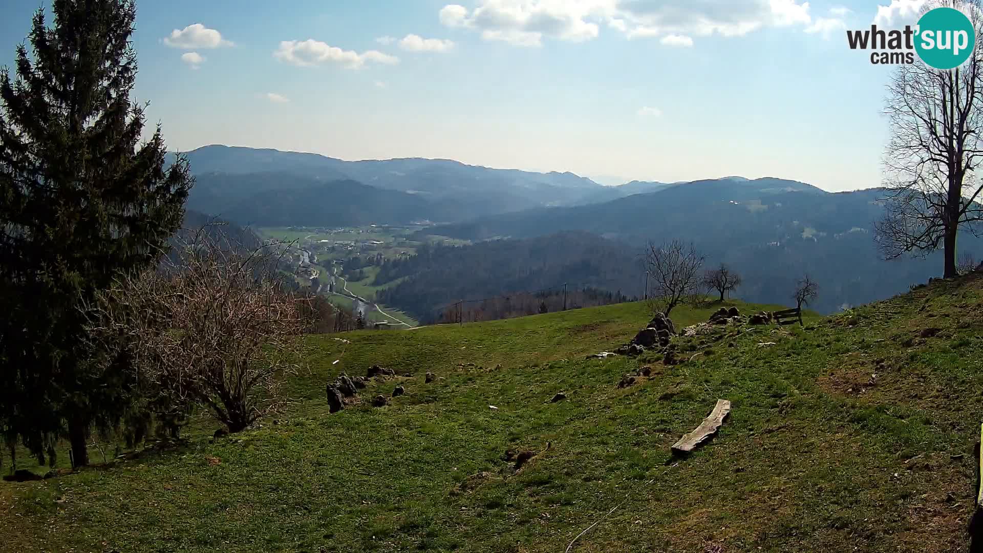 Slajka camera en vivo | Gorenja Vas | Eslovenia